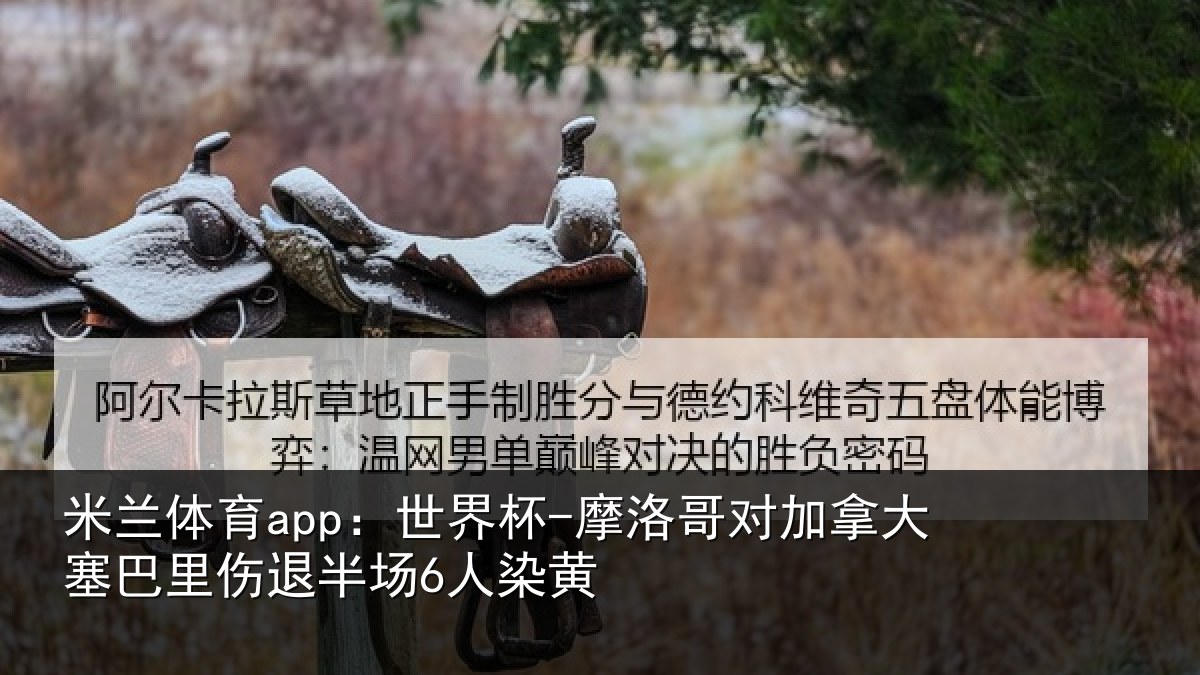 米兰体育app：世界杯-摩洛哥对加拿大塞相关情况黄